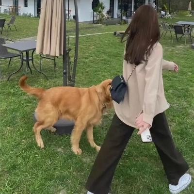 美人脸